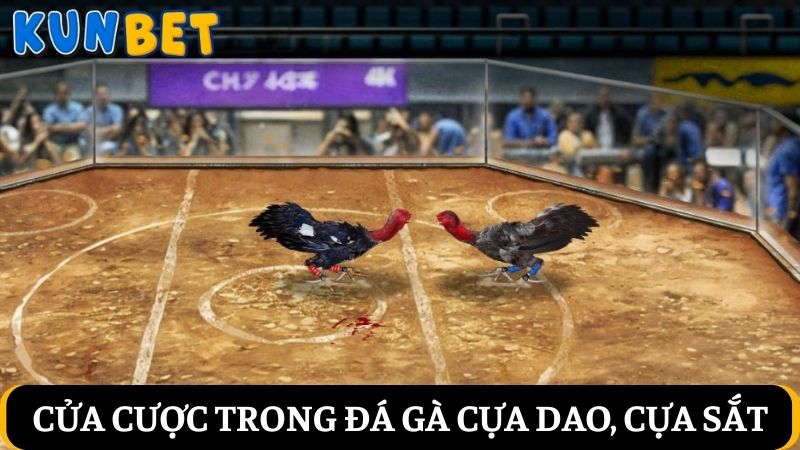Cửa cược đá gà cựa dao, cựa sắt