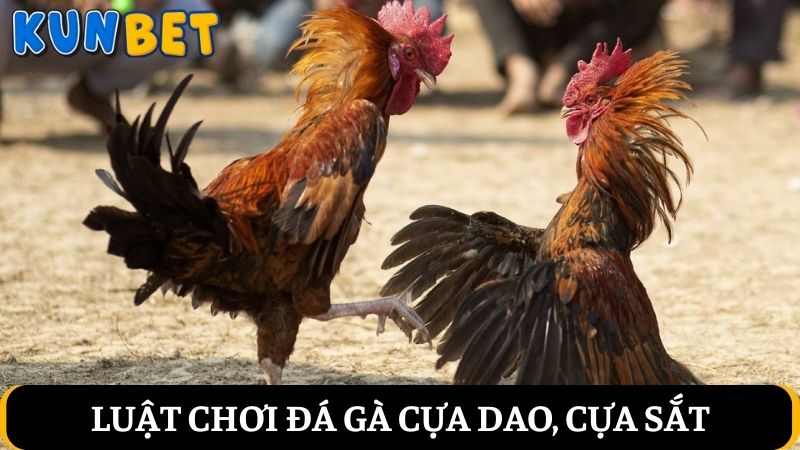 Luật trong đá gà cựa dao, cựa sắt